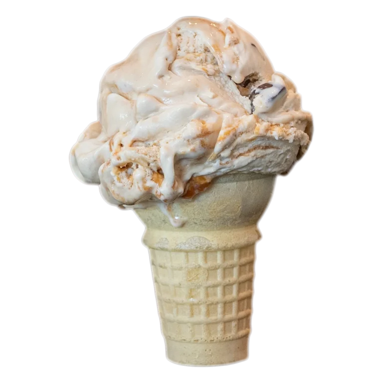 Sea Turtle ice cream cone